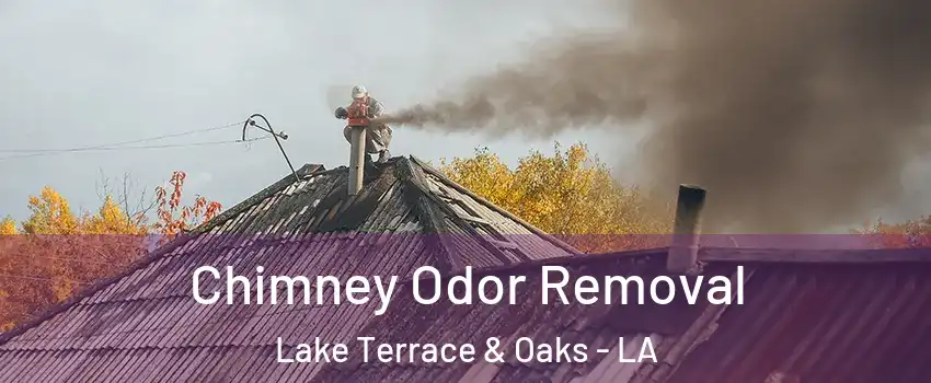 Chimney Odor Removal Lake Terrace & Oaks - LA