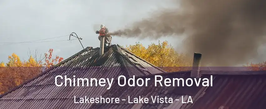 Chimney Odor Removal Lakeshore - Lake Vista - LA