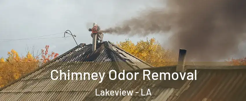 Chimney Odor Removal Lakeview - LA