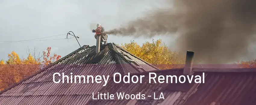 Chimney Odor Removal Little Woods - LA