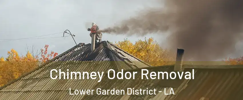 Chimney Odor Removal Lower Garden District - LA