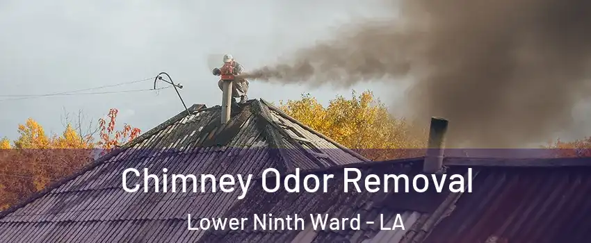 Chimney Odor Removal Lower Ninth Ward - LA