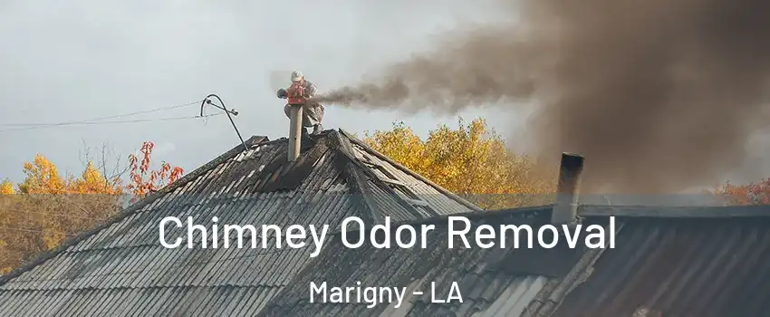 Chimney Odor Removal Marigny - LA