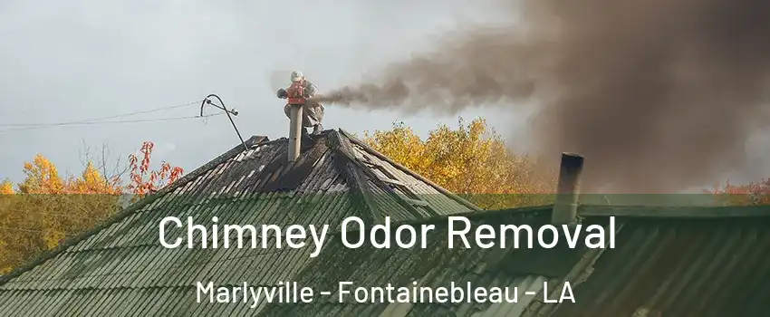 Chimney Odor Removal Marlyville - Fontainebleau - LA