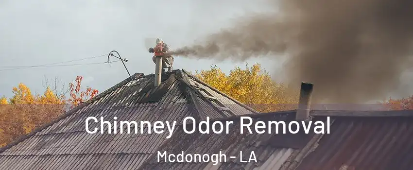 Chimney Odor Removal Mcdonogh - LA