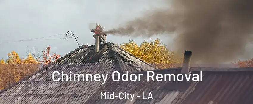 Chimney Odor Removal Mid-City - LA