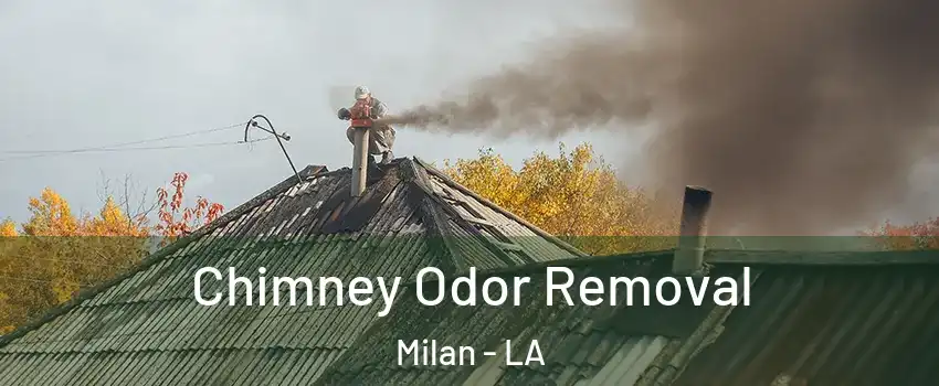 Chimney Odor Removal Milan - LA