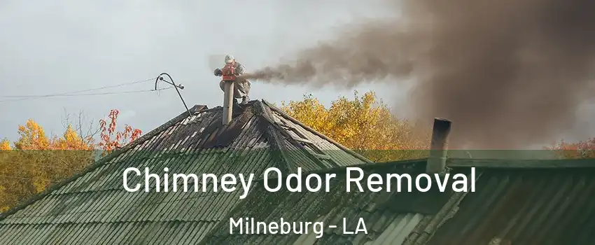 Chimney Odor Removal Milneburg - LA