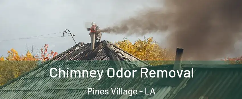 Chimney Odor Removal Pines Village - LA