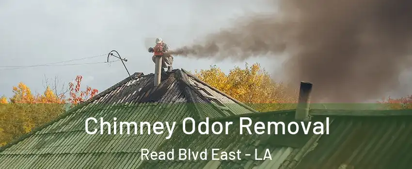 Chimney Odor Removal Read Blvd East - LA