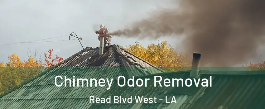 Chimney Odor Removal Read Blvd West - LA