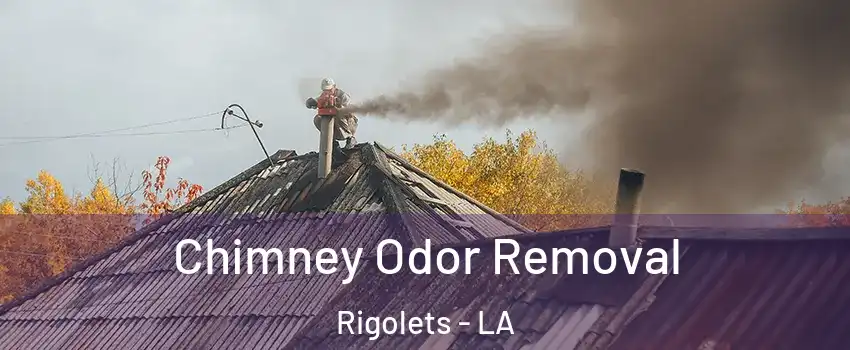 Chimney Odor Removal Rigolets - LA