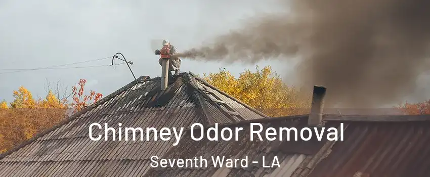 Chimney Odor Removal Seventh Ward - LA