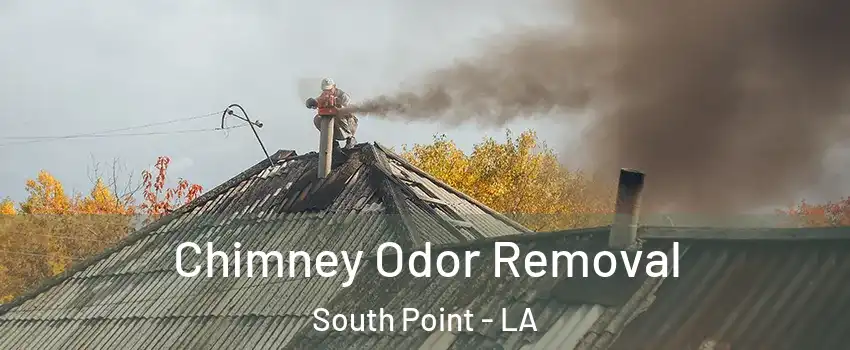 Chimney Odor Removal South Point - LA