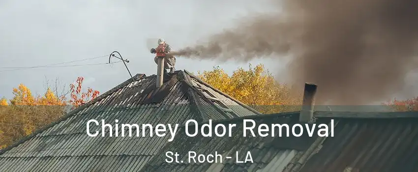 Chimney Odor Removal St. Roch - LA