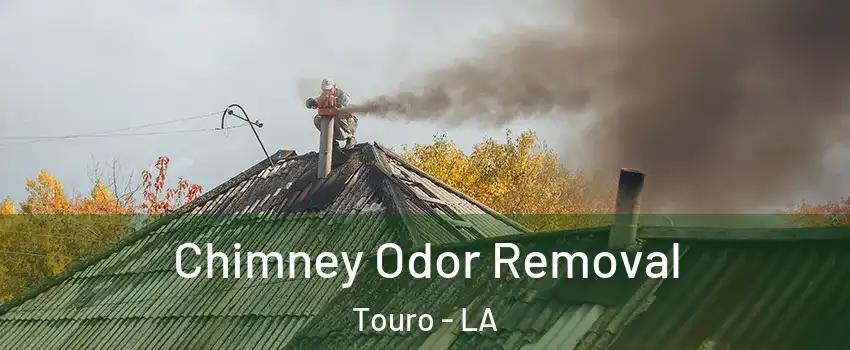 Chimney Odor Removal Touro - LA