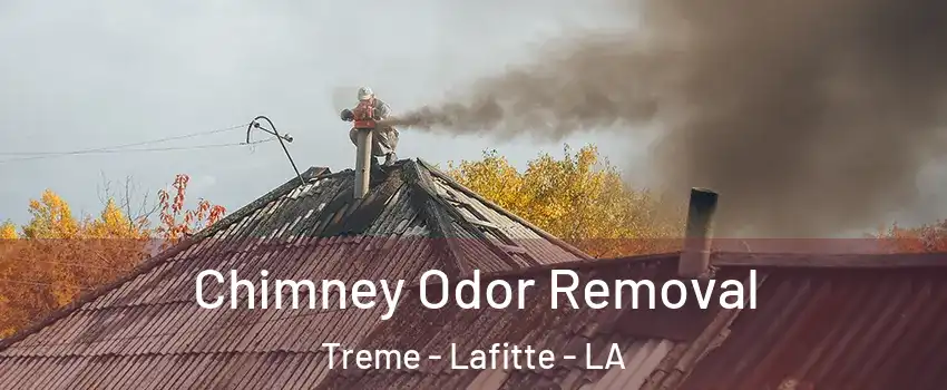 Chimney Odor Removal Treme - Lafitte - LA