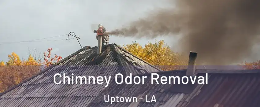 Chimney Odor Removal Uptown - LA