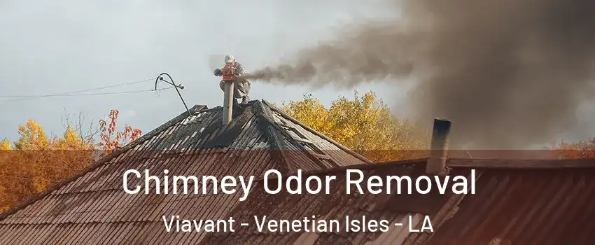 Chimney Odor Removal Viavant - Venetian Isles - LA