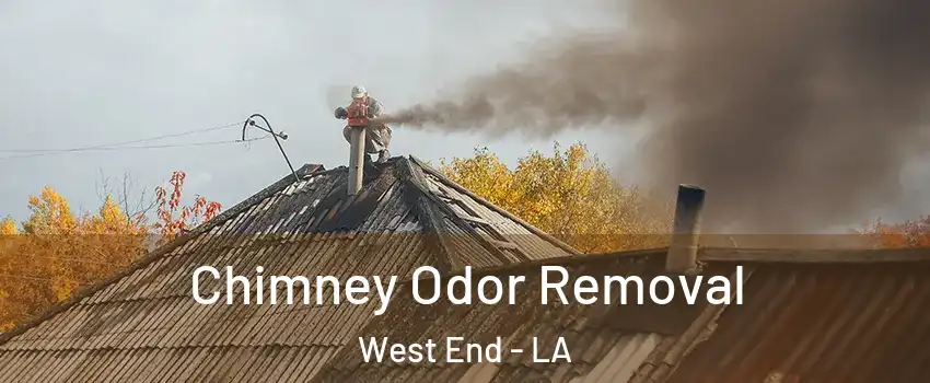 Chimney Odor Removal West End - LA