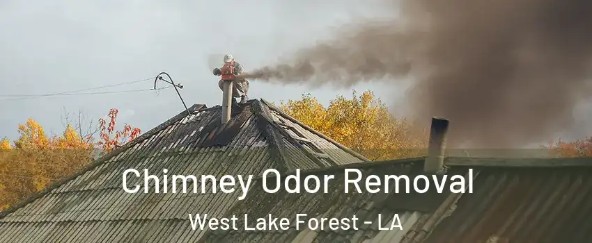 Chimney Odor Removal West Lake Forest - LA