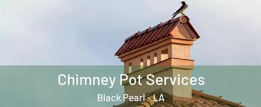 Chimney Pot Services Black Pearl - LA