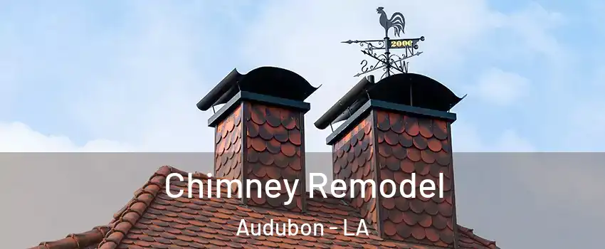 Chimney Remodel Audubon - LA