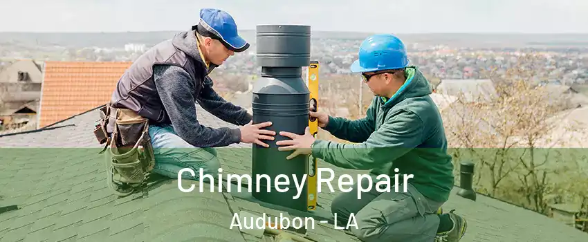 Chimney Repair Audubon - LA