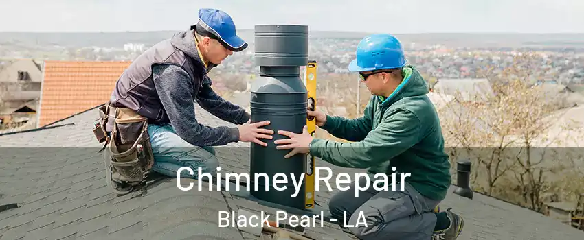 Chimney Repair Black Pearl - LA