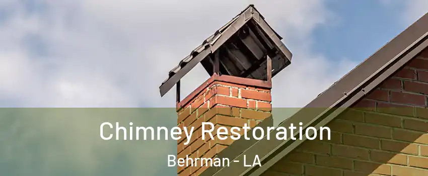 Chimney Restoration Behrman - LA