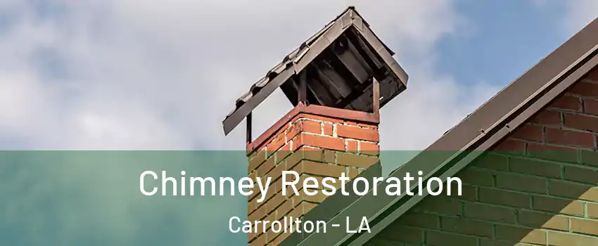 Chimney Restoration Carrollton - LA