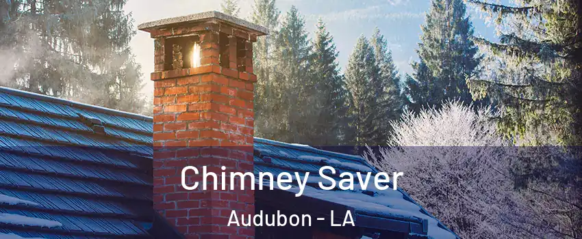 Chimney Saver Audubon - LA