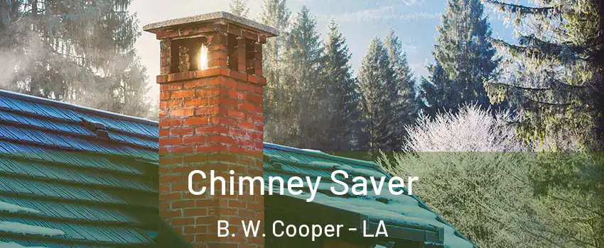 Chimney Saver B. W. Cooper - LA