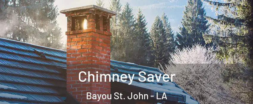 Chimney Saver Bayou St. John - LA