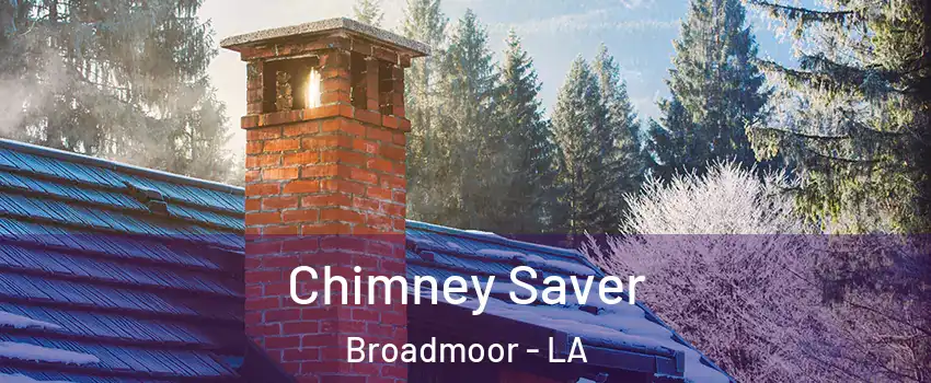 Chimney Saver Broadmoor - LA