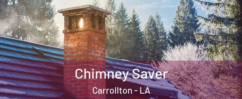 Chimney Saver Carrollton - LA