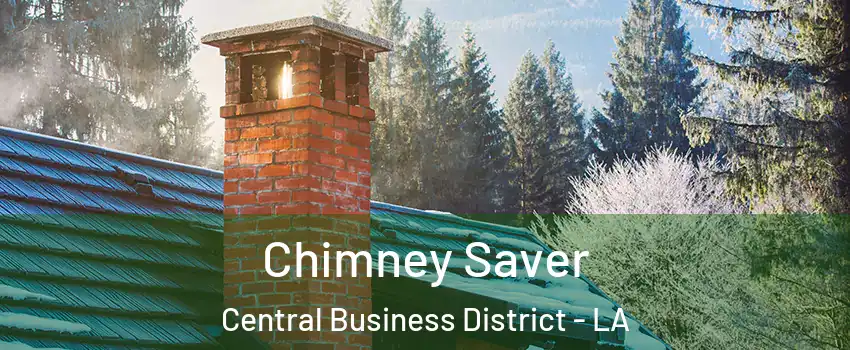 Chimney Saver Central Business District - LA