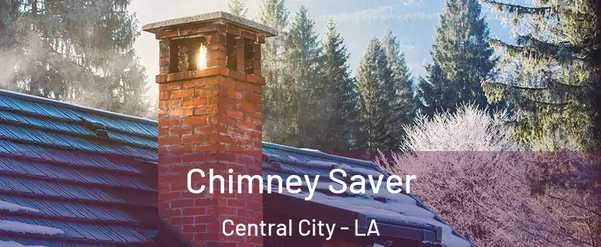 Chimney Saver Central City - LA