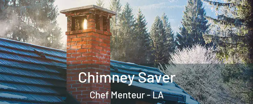 Chimney Saver Chef Menteur - LA