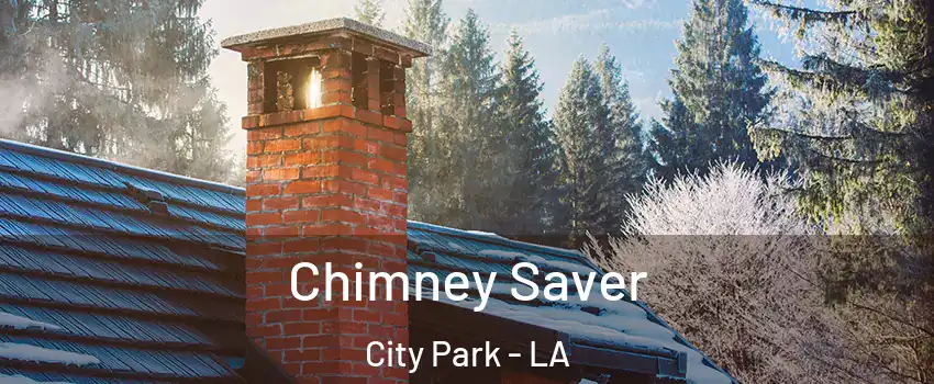 Chimney Saver City Park - LA