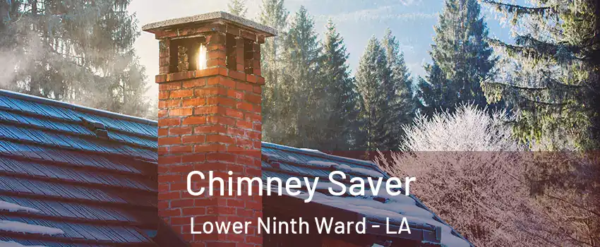 Chimney Saver Lower Ninth Ward - LA