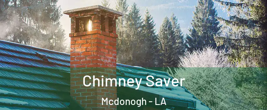 Chimney Saver Mcdonogh - LA