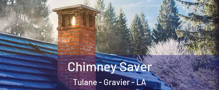 Chimney Saver Tulane - Gravier - LA