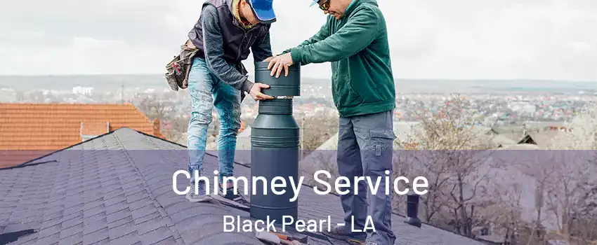 Chimney Service Black Pearl - LA