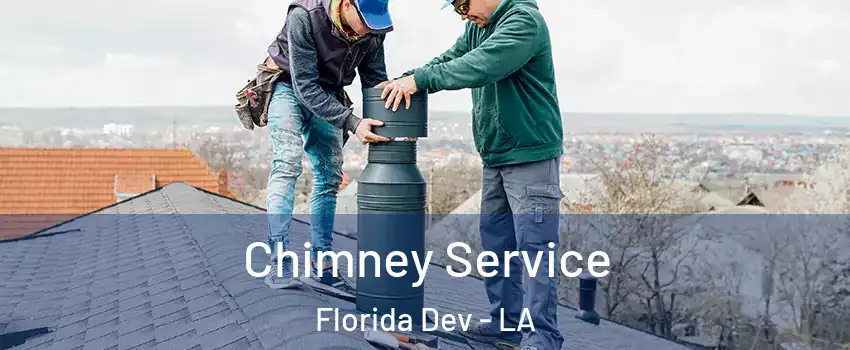 Chimney Service Florida Dev - LA