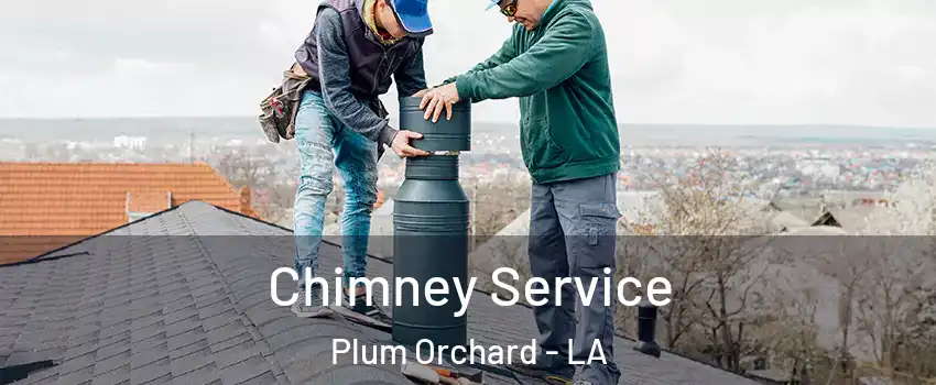 Chimney Service Plum Orchard - LA