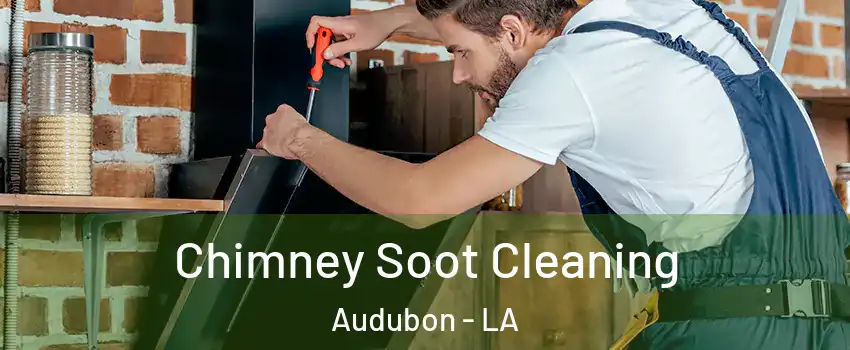 Chimney Soot Cleaning Audubon - LA