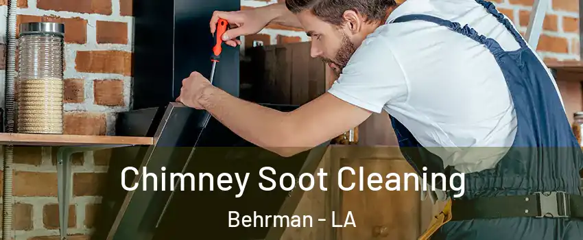 Chimney Soot Cleaning Behrman - LA