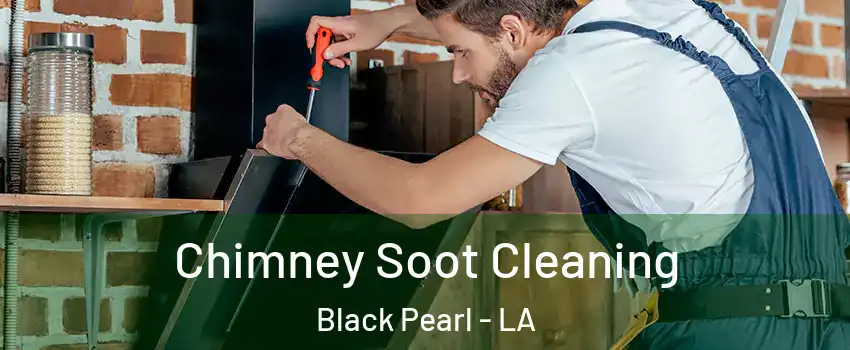 Chimney Soot Cleaning Black Pearl - LA