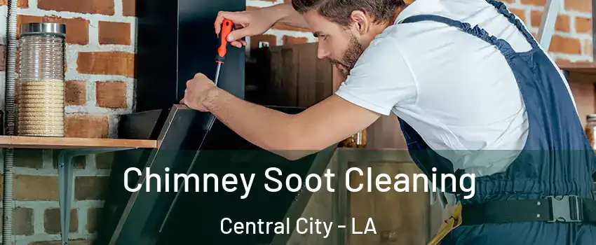 Chimney Soot Cleaning Central City - LA